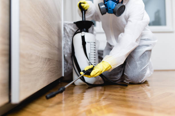 Best Exterminator Services  in Glasgow, MT