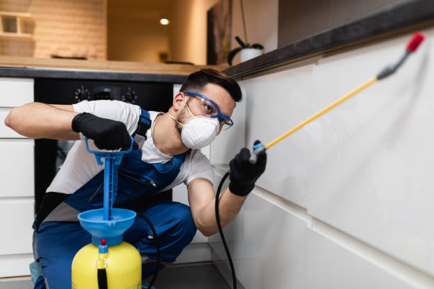 Best Exterminator Services  in Glasgow, MT
