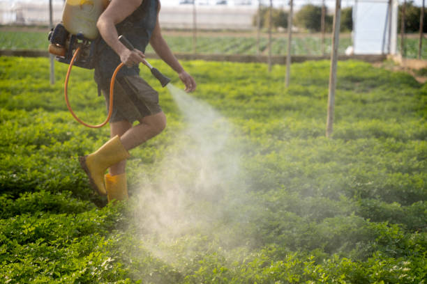 Best Local Pest Control Services  in Glasgow, MT