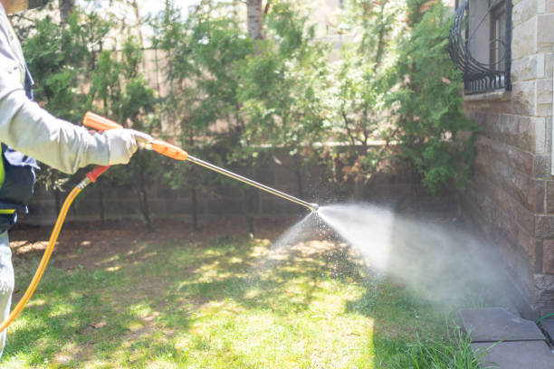 Trusted Glasgow, MT Pest Control Experts