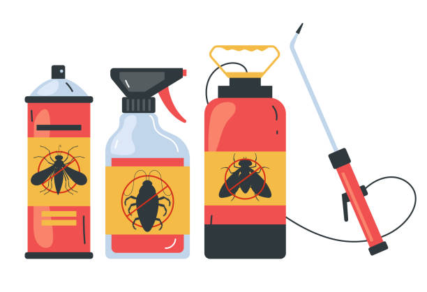 Best Termite Control Services  in Glasgow, MT