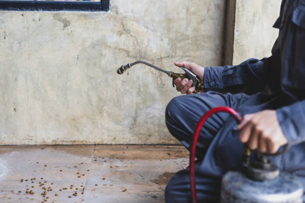 Best Pest Control for Restaurants  in Glasgow, MT