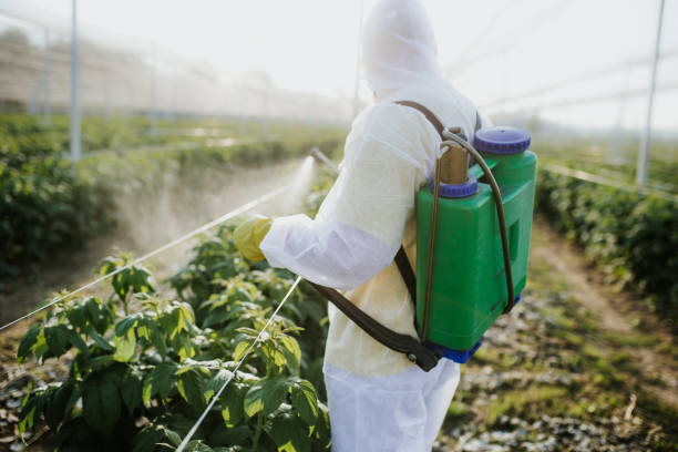 Best Mosquito Control Services  in Glasgow, MT